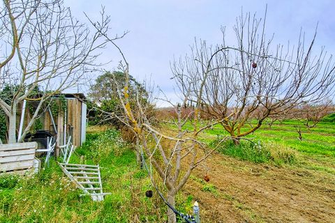 Finca a Ginestar, Tarragona, Ginestar - € 28.000 | Ref: CC839 - foto 13